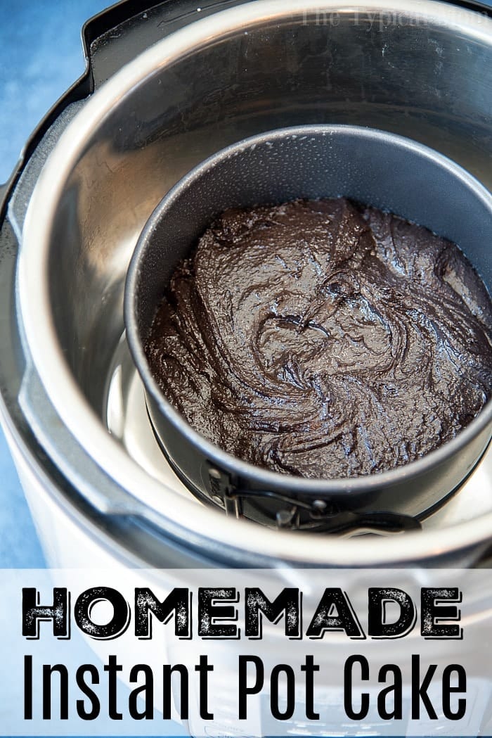 Instant Pot Chocolate Cake From Scratch Ninja Foodi Cake