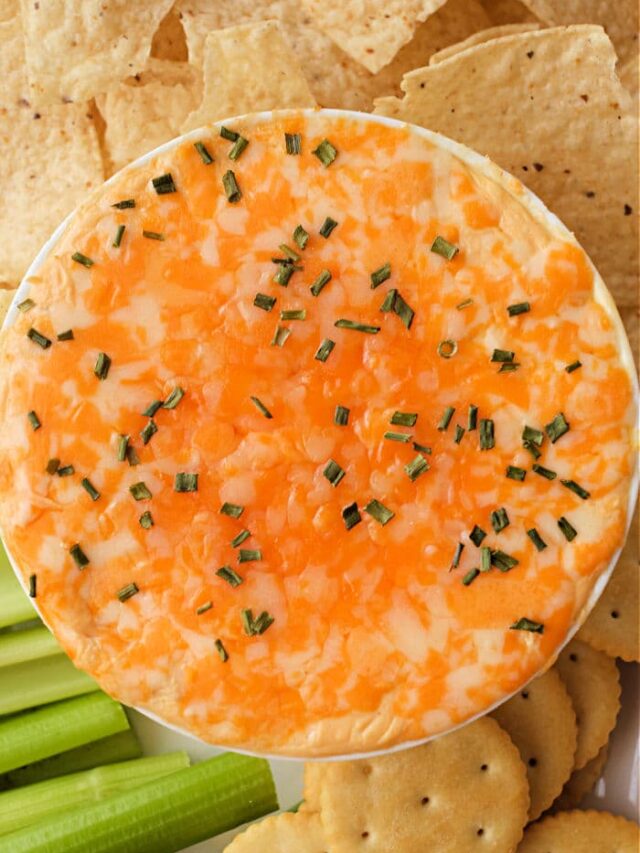 Instant Pot Buffalo Chicken Dip With Cooked Chicken The Typical Mom