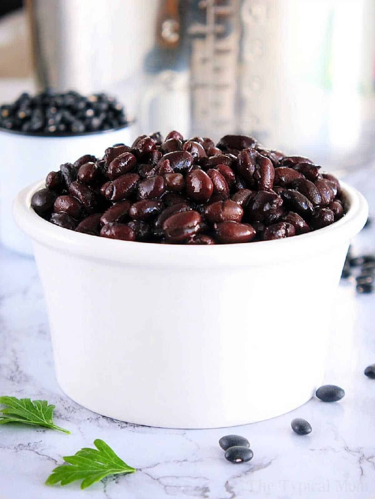 Ninja Foodi Pressure Cooker Black Beans Recipe No Soak