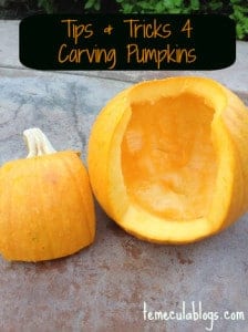 How to Keep Pumpkins from Rotting on Porch with Solution