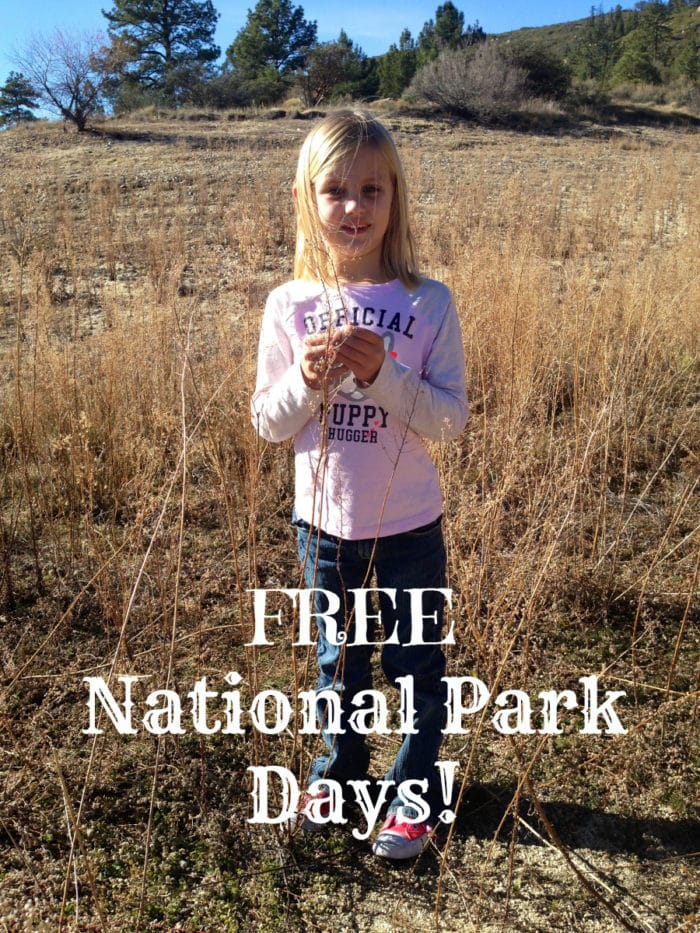 A young blonde girl stands in a dry, grassy area holding plants, with hills and sparse trees in the background. She wears a long-sleeved pink shirt with text. White text at the bottom of the image reads, "FREE National Park Days! Enjoy free admission to national parks.