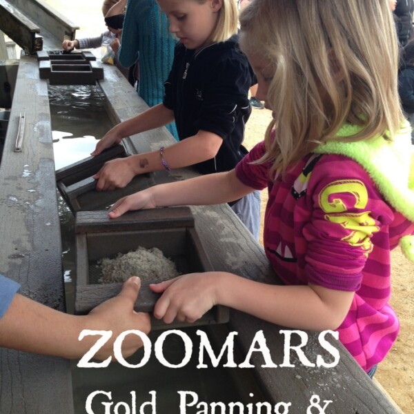 Two children are panning for gold at a Zoomars Petting Zoo activity. One child is wearing a black shirt while the other sports a colorful outfit. They use water troughs and screens to sift through sediment in search of gold, with other visitors enjoying the background activities.