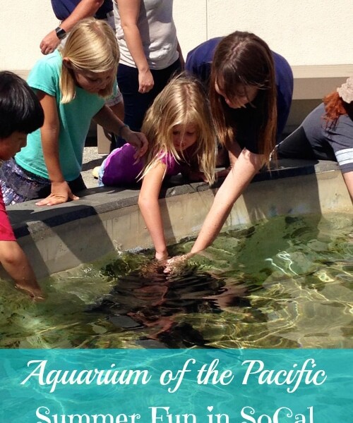 aquarium of the pacific