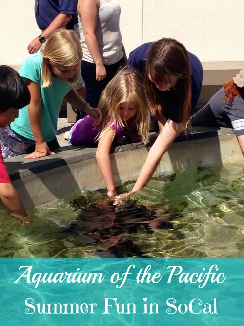 aquarium of the pacific