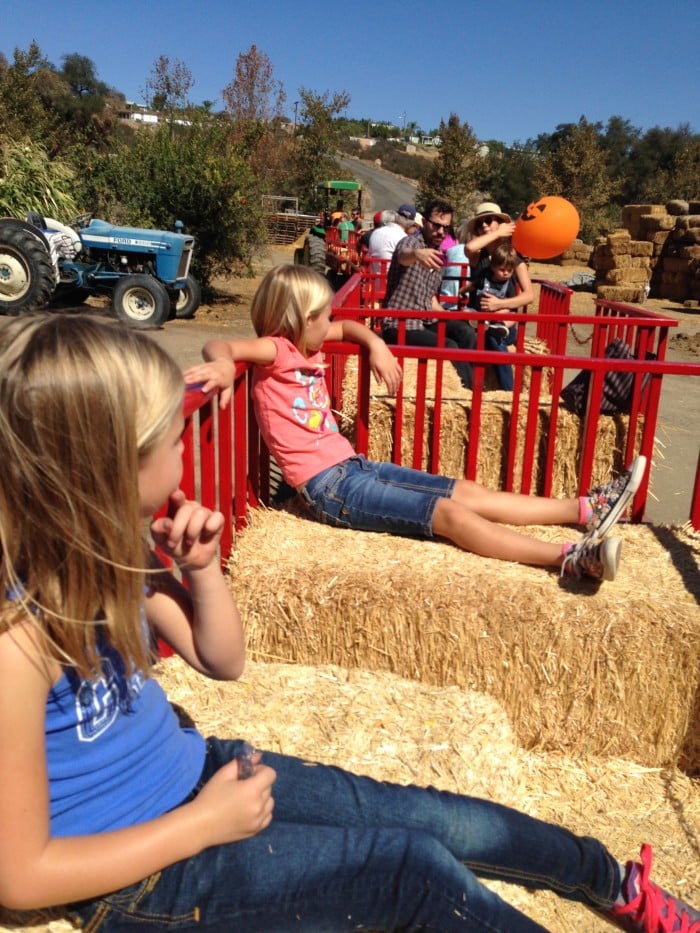 peltzer farm in temecula