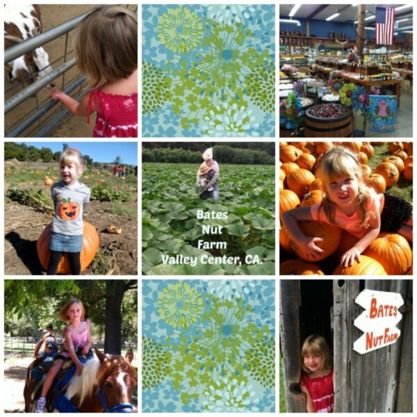 A collage of nine images vividly depicts various scenes at Bates Nut Farm in Valley Center, CA. The photos capture children picking pumpkins, a person riding a horse, a girl admiring animals, the charming farm store's interior, and intricate floral patterns.