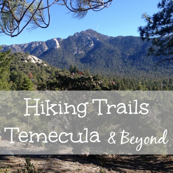 A landscape view featuring a forested area with mountainous terrain in the background. Pine trees are present in the foreground. The text "Temecula Hiking Trails & Beyond" is overlaid in white.