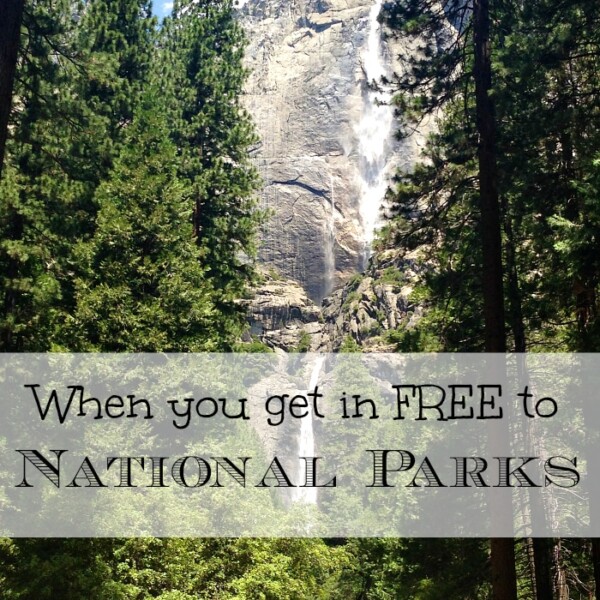 A tall waterfall cascades down a rock face surrounded by lush greenery and tall trees. In the foreground, a pathway leads towards the base of the waterfall. Text overlay reads, "Enjoy free admission to national parks.