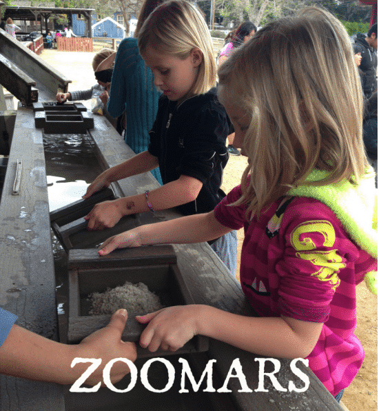 Zoomars Petting Zoo & Pumpkin Patch Coupon · The Typical Mom