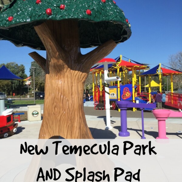 Temecula special needs park