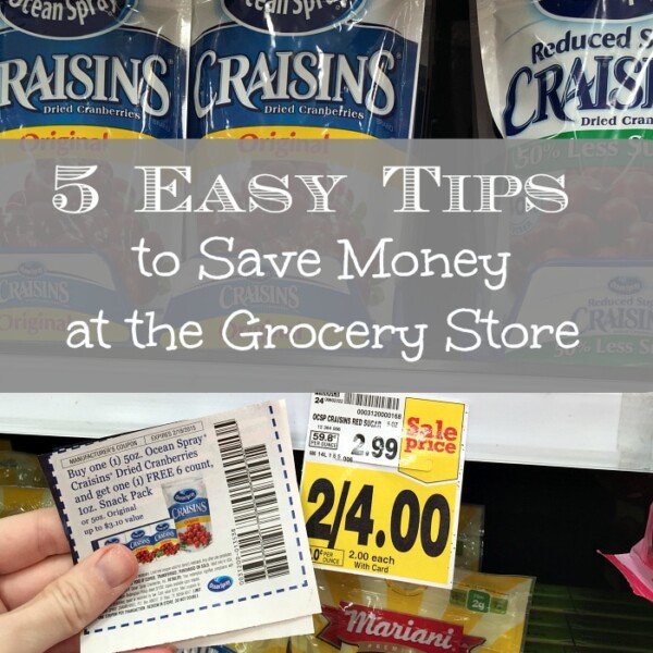 The image shows a hand holding a coupon in front of a shelf displaying several bags of Ocean Spray Craisins. Above the coupon, text reads "5 Easy Tips on How to Save Money at the Grocery Store." The price label shows a sale price of 2 for $4.00.