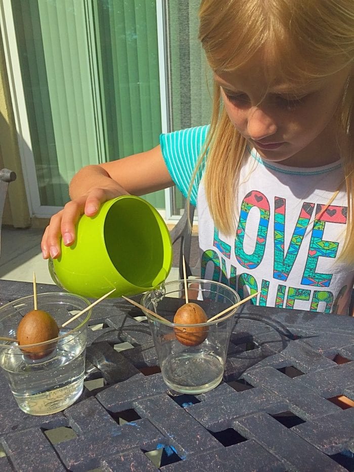 Gardening Activities for Kids · The Typical Mom