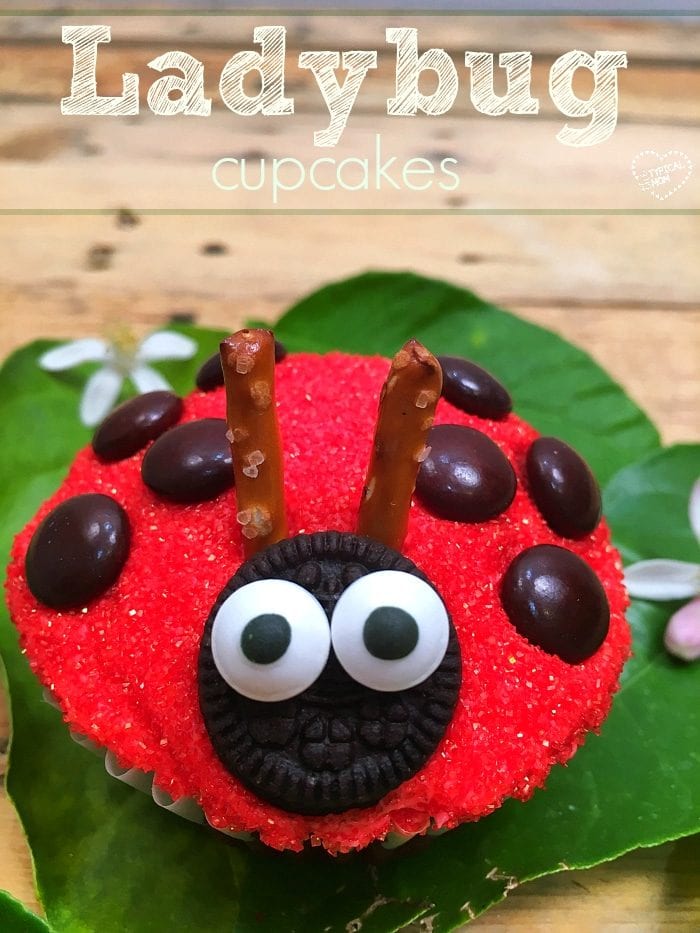 Ladybug Cupcake · The Typical Mom