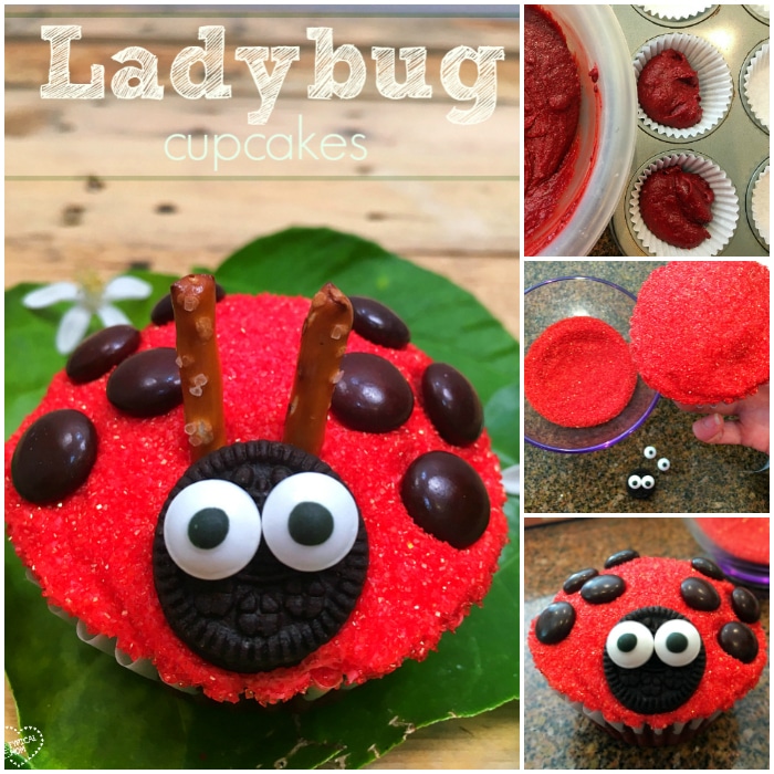 ladybug cupcake