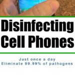 A person is holding a smartphone, highlighting the importance of cleaning your cell phone regularly to eliminate pathogens.