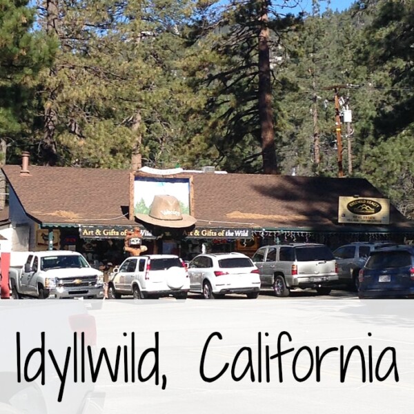 Nestled among the tall pine trees, the rustic store in Idyllwild, California, boasts a charming parking lot that welcomes visitors.