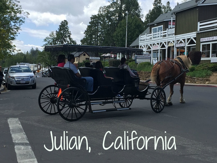 Julian California · The Typical Mom