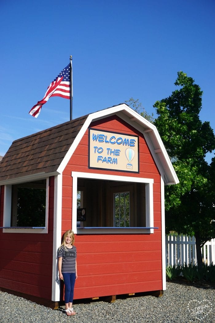 Temecula blueberry company