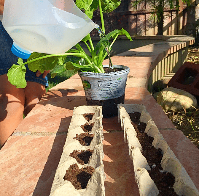 gardening with kids