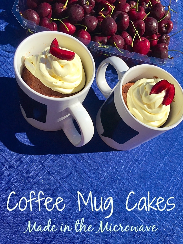 Chocolate Cake Recipe With Mayonnaise · The Typical Mom