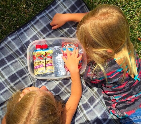 Two children lie on a plaid blanket outdoors, savoring their summer snackation as they reach into a container brimming with refreshing drinks, snacks, and water bottles.