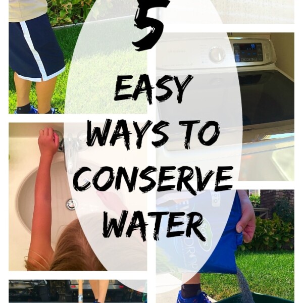 conserve water at home