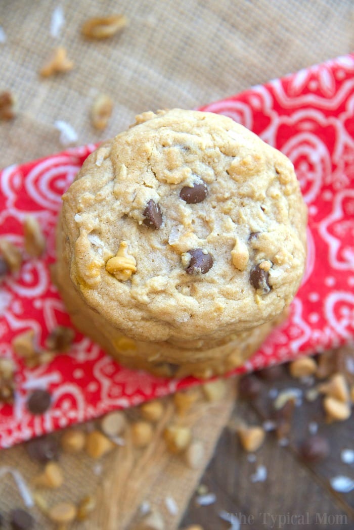 chewy chocolate chip cookie recipe