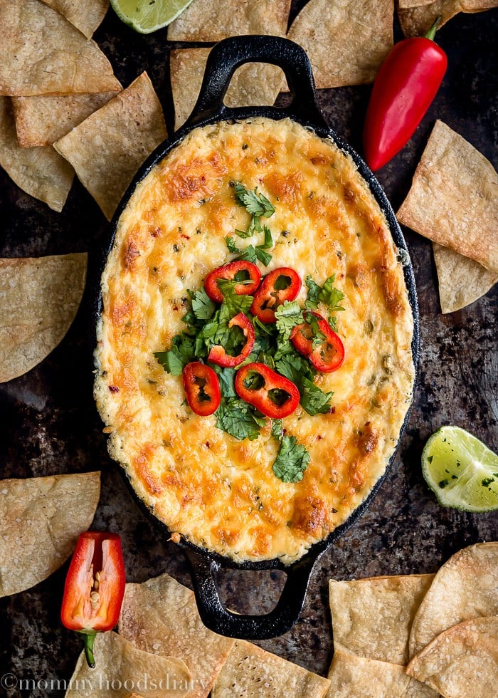 38+ Hot Dip Recipes for Parties - The Cookie Rookie®