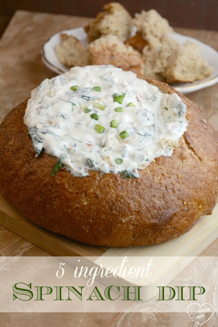 How to Make an Easy Cold Spinach Dip Recipe