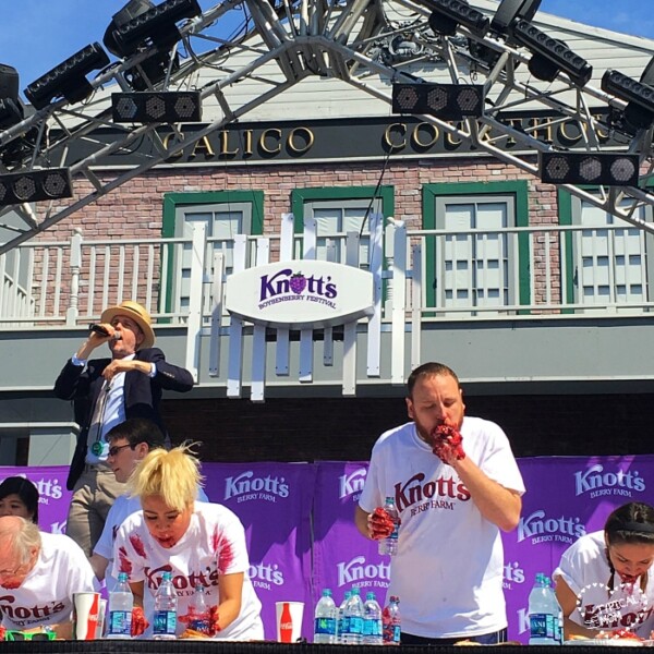 At the Knott’s Berry Farm Boysenberry Festival, people participate in a pie-eating contest, their white shirts stained with rich pie filling. A man with a microphone stands behind them, adding to the lively atmosphere of this berry-filled celebration.