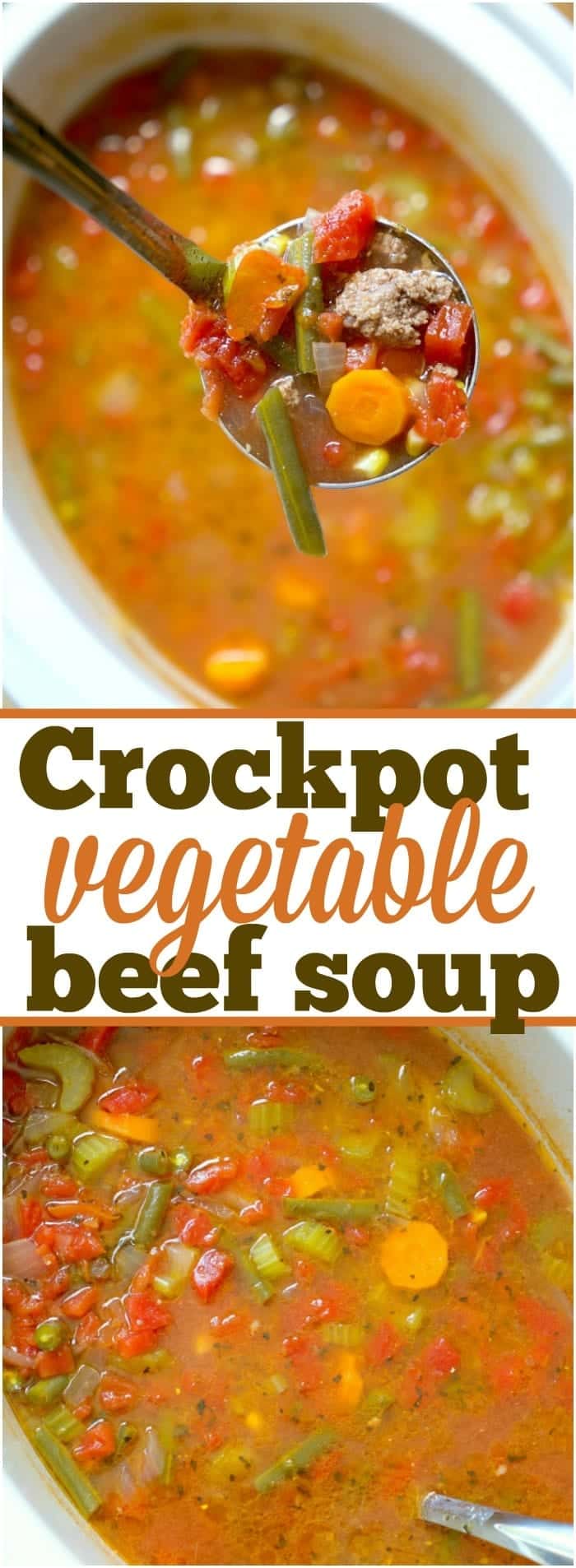 Easy Crock Pot Vegetable Beef Soup · The Typical Mom