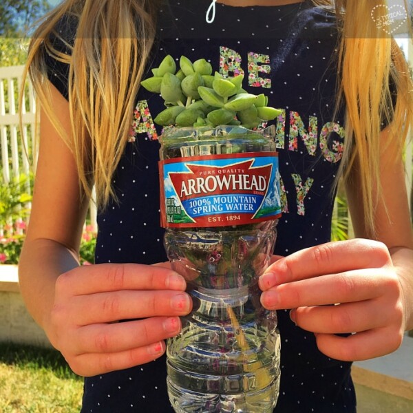 A child proudly grasps a repurposed plastic bottle cradling a vibrant plant, perfectly illustrating earth day activities for kids.