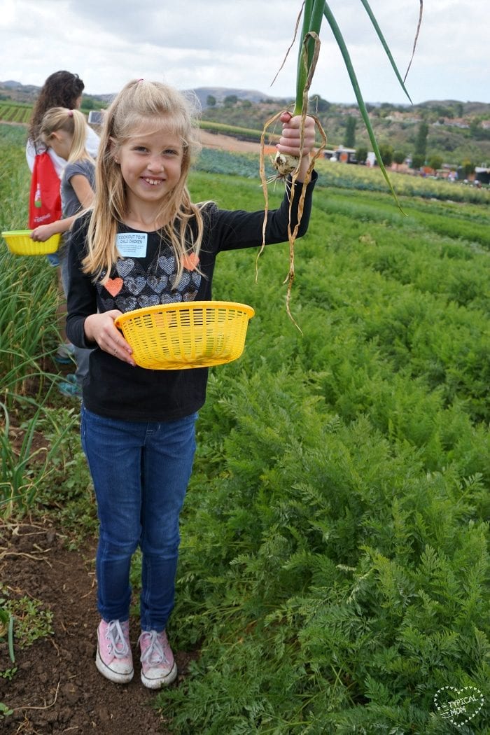 Tanaka Farm