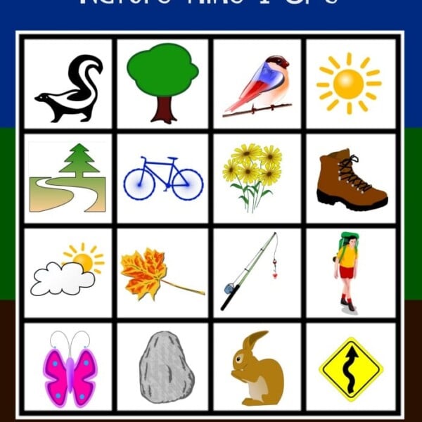 Explore the wonders of nature with our Nature Hike I Spy game card, featuring captivating images of animals, plants, and outdoor treasures like a skunk, tree, and sun. Perfect for adventurers eager to discover and learn about their natural surroundings!