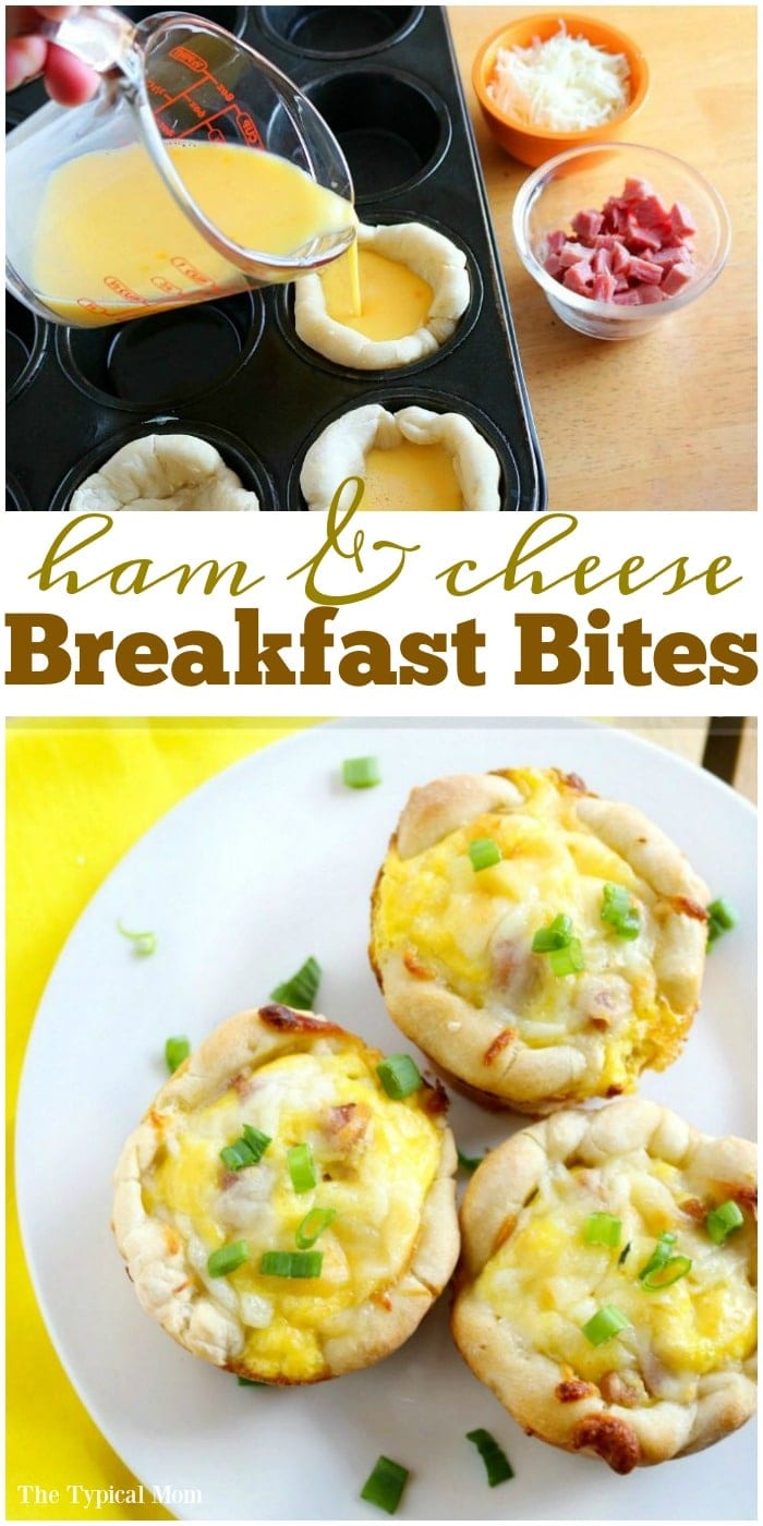 Ham and Cheese Breakfast Bites · The Typical Mom