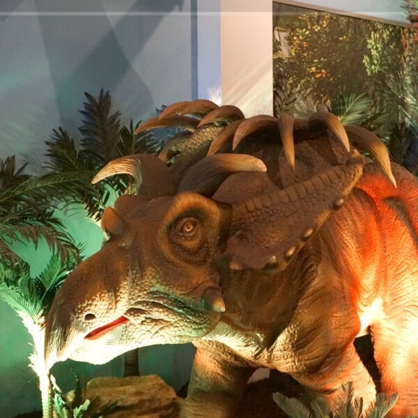 Explore "Extreme Dinosaurs" at Discovery Cube OC, where lifelike dinosaurs roam amidst lush tropical plants.