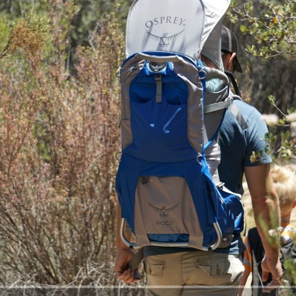 An adult carrying a child in a hiking backpack navigates a scenic trail. Overlay text reads: "Hiking with Kids: Tips & Tricks.