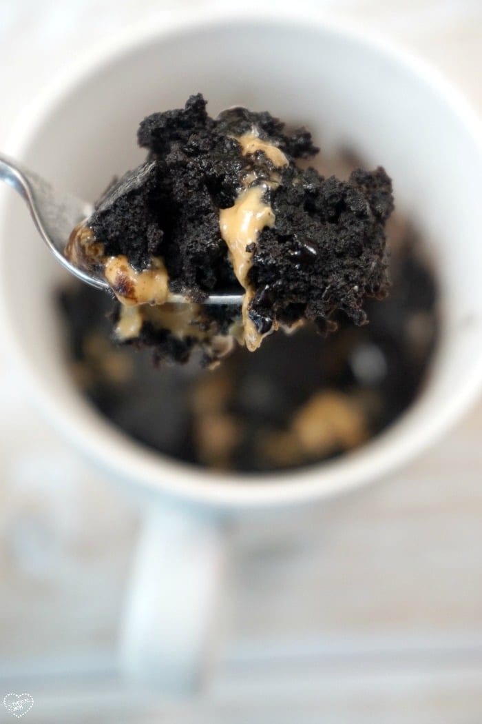 How to Make a Brownie in a Mug · The Typical Mom