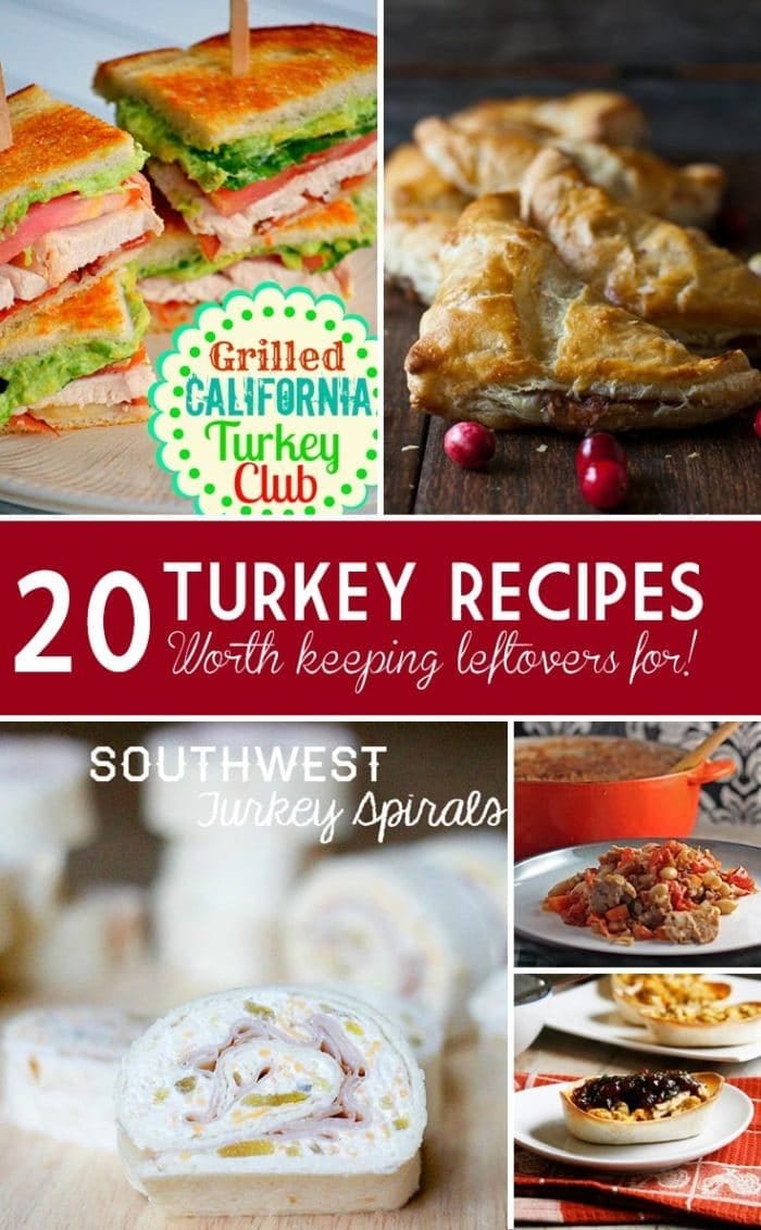 23 Turkey Meat Recipes What To Make With Leftover Turkey