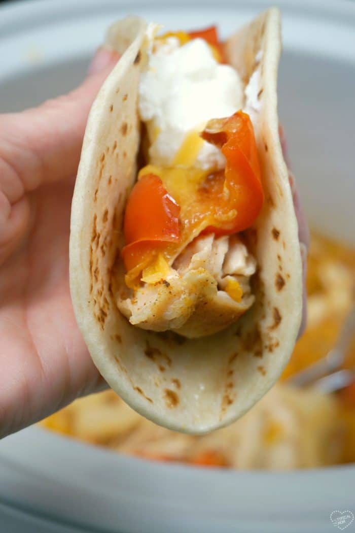 Easy Crockpot Chicken Fajitas with Fajita Seasoning · The Typical Mom