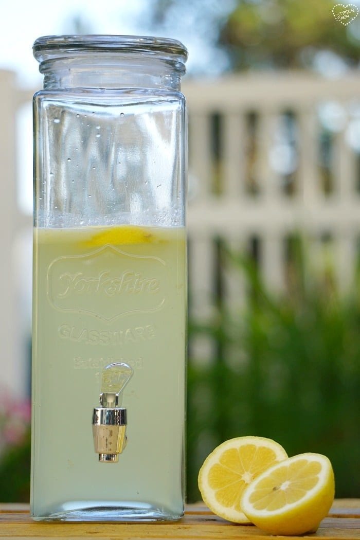 Fresh Squeezed Lemonade Recipe · The Typical Mom