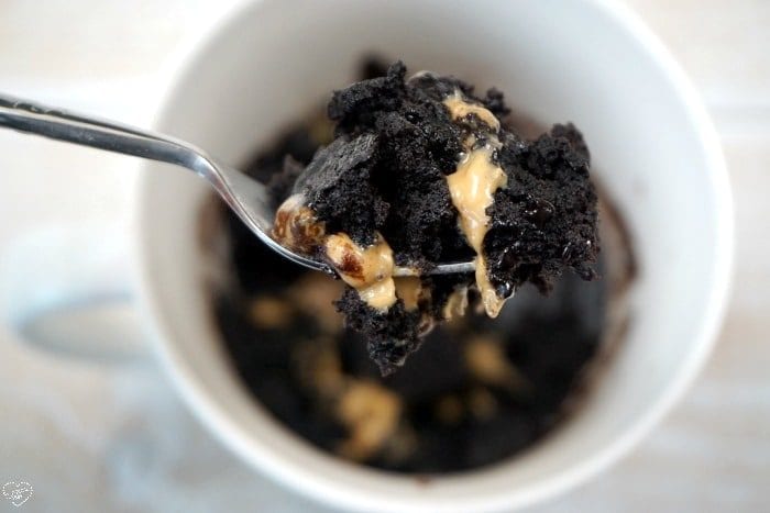 1 Minute Brownie in a Mug Recipe (with Video)