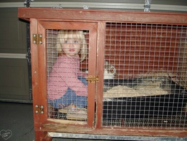 Inside a wooden rabbit hutch, a child in a red-striped shirt sits alongside a white rabbit, quietly pondering the chaos of having 3 kids instead of just 2.