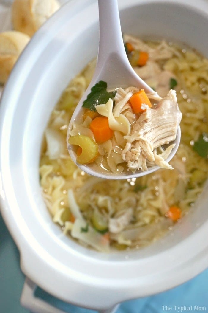 Literally the BEST Chicken Noodle Soup Recipe