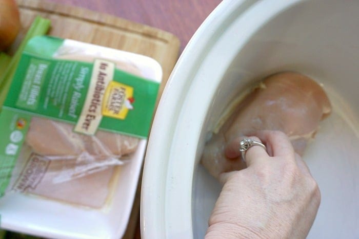 slow cooker chicken noodle soup