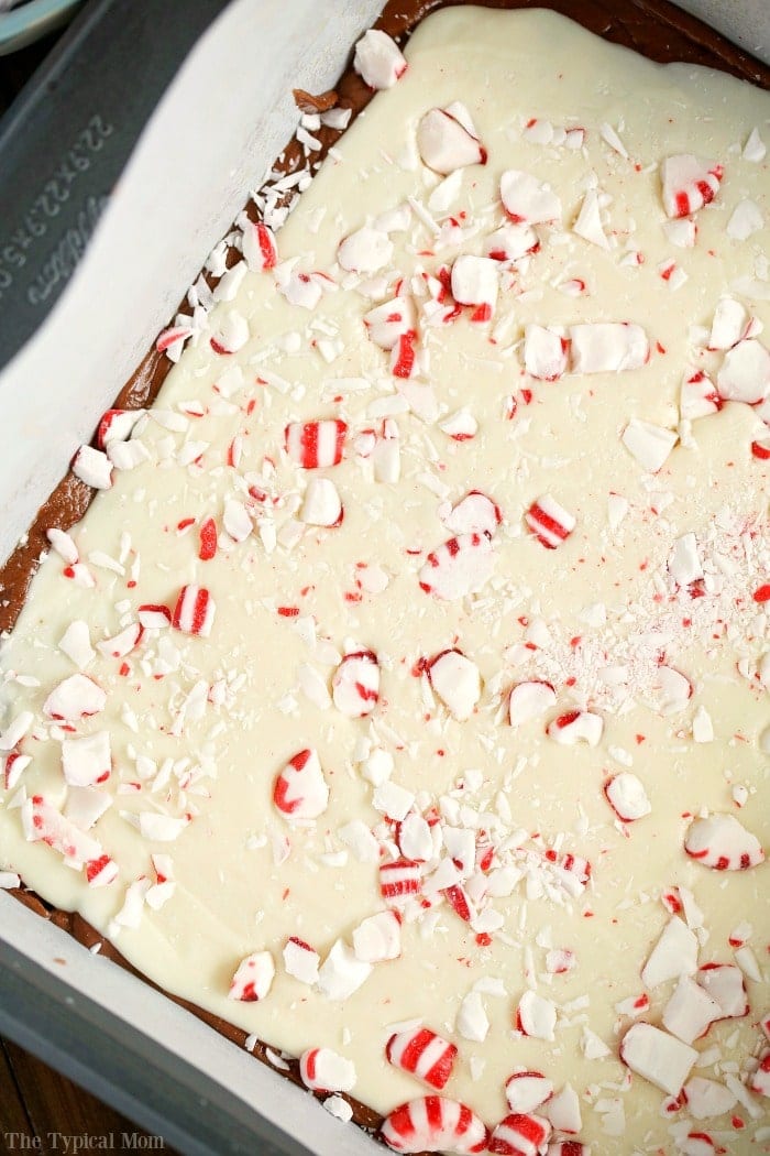 peppermint-fudge