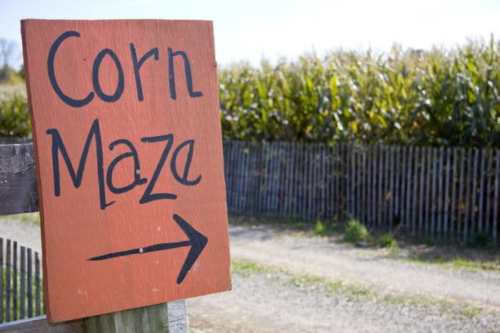 temecula corn maze