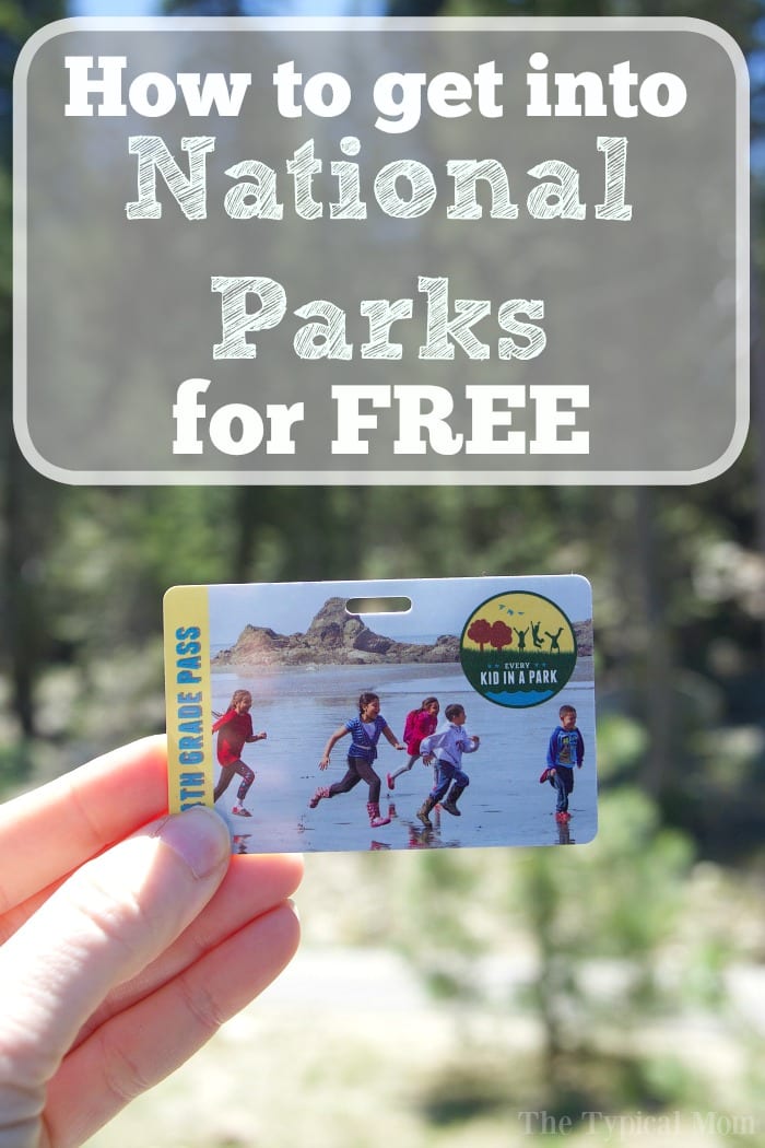 Free Admission To National Parks For 4th Graders And Families