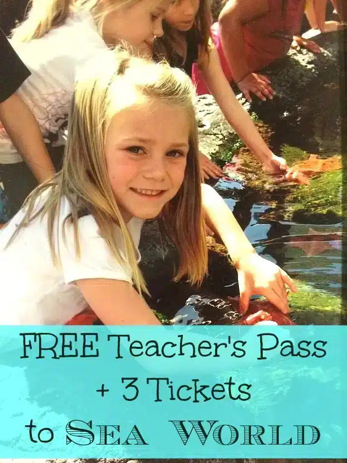 FREE Sea World Tickets for Teachers · The Typical Mom