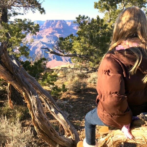 A girl in a brown coat sits gracefully on a tree, gazing out over the majestic expanse of the Grand Canyon beneath a pristine blue sky.